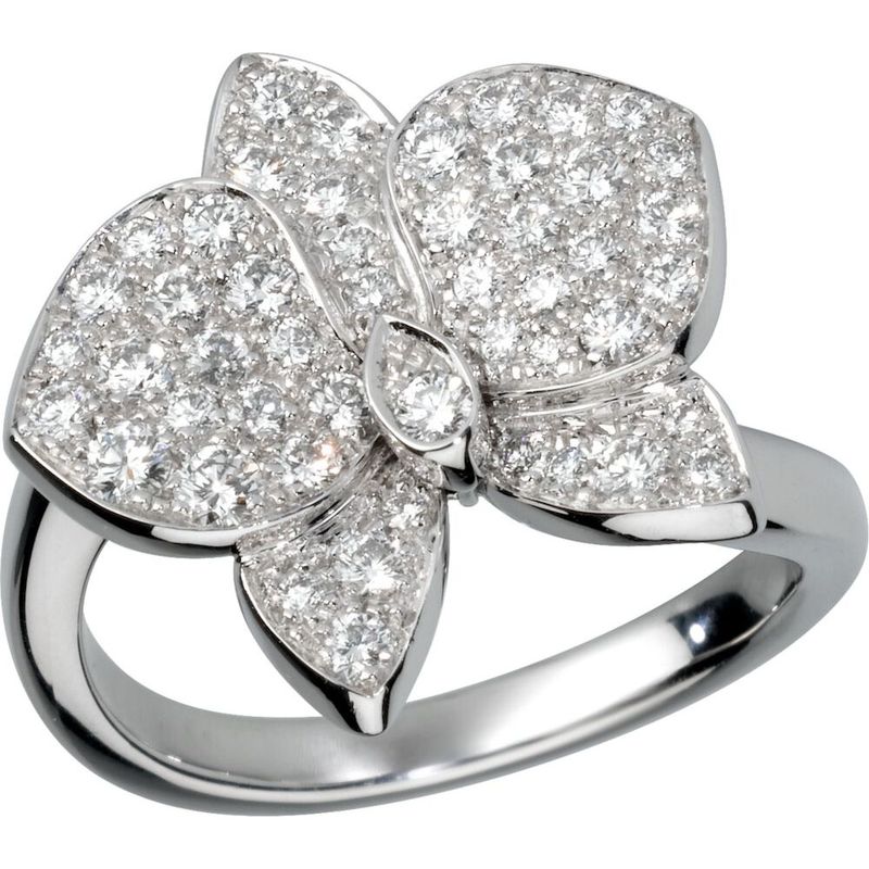 ANEL-CARESSE-D-ORCHIDEES-PAR-CARTIER