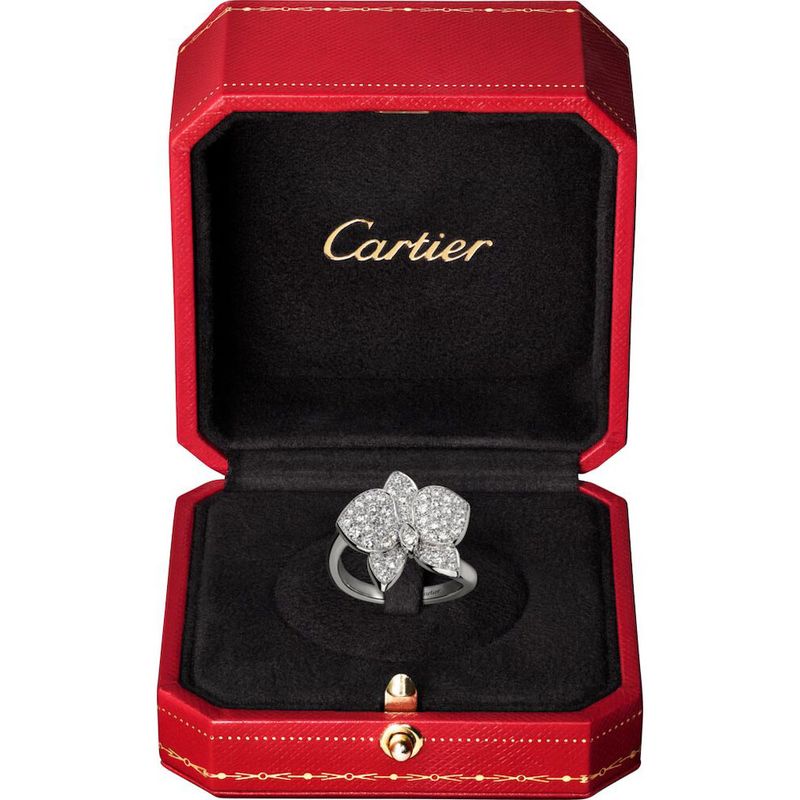 ANEL-CARESSE-D-ORCHIDEES-PAR-CARTIER